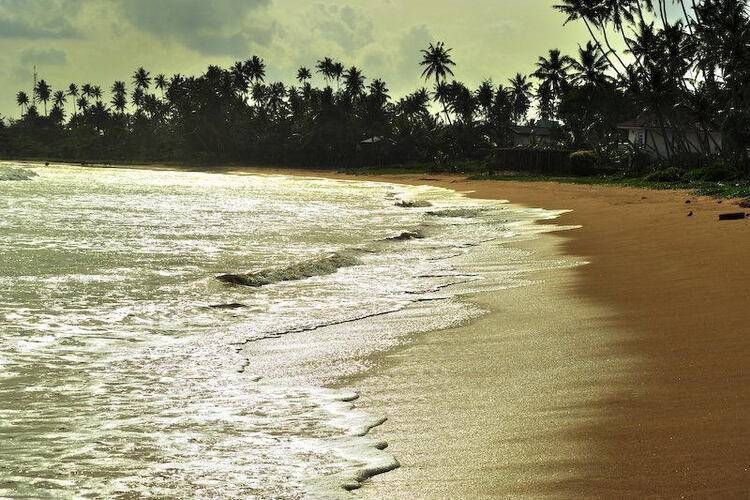 Weligama Bay Resort