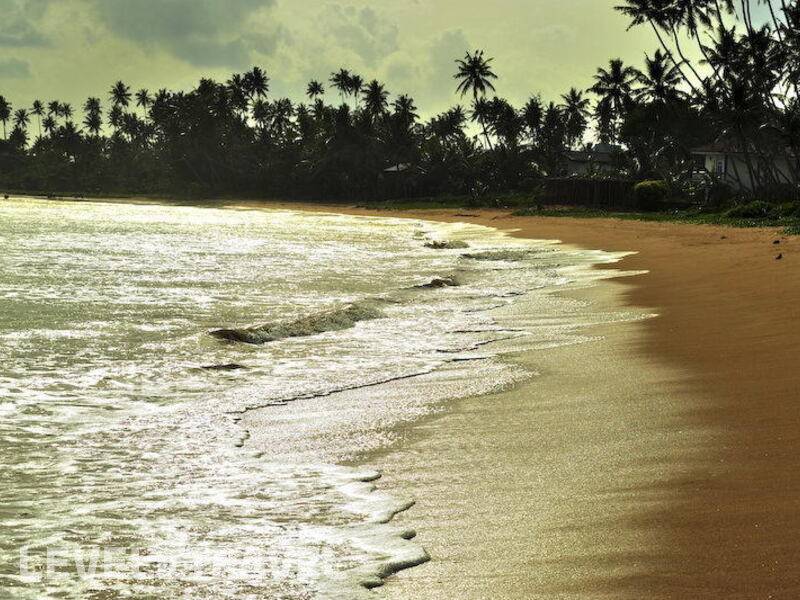 Фотография Weligama Bay Resort