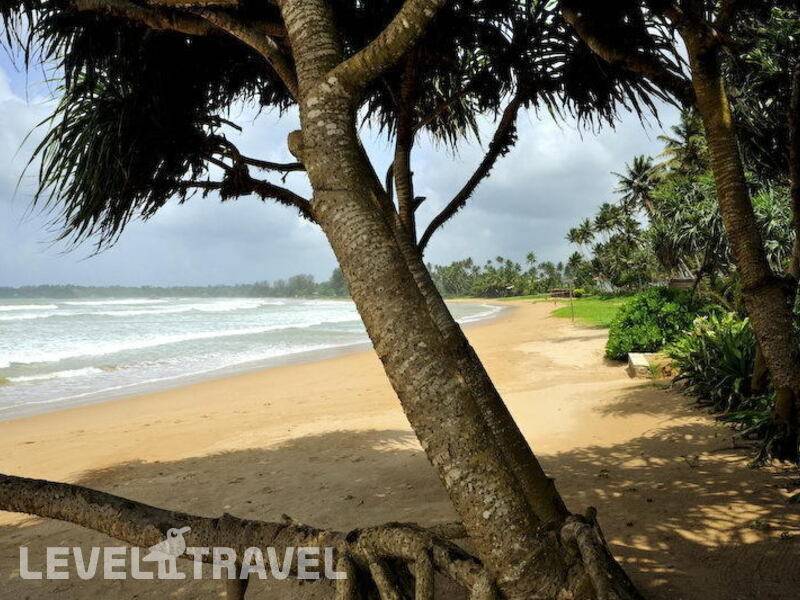 Фотография Weligama Bay Resort