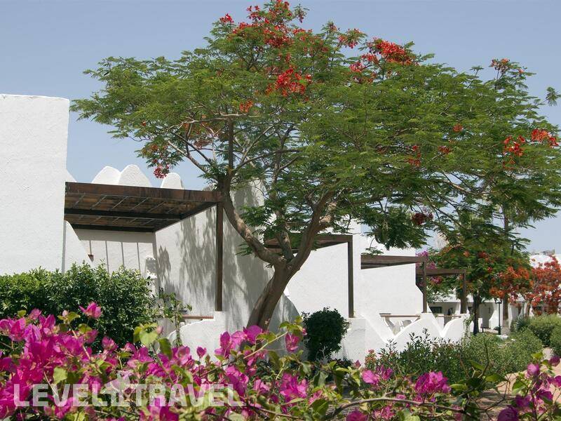 Фотография Swiss Inn Resort Dahab