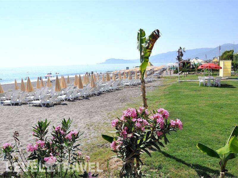 Фотография Deha Hotel