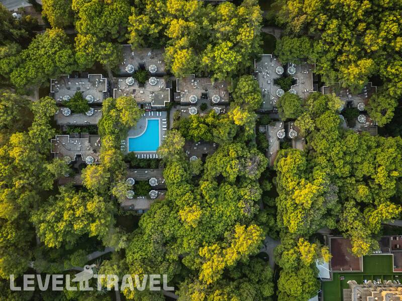 Фотография Balmy Foresta (Ex. Paloma Foresta)