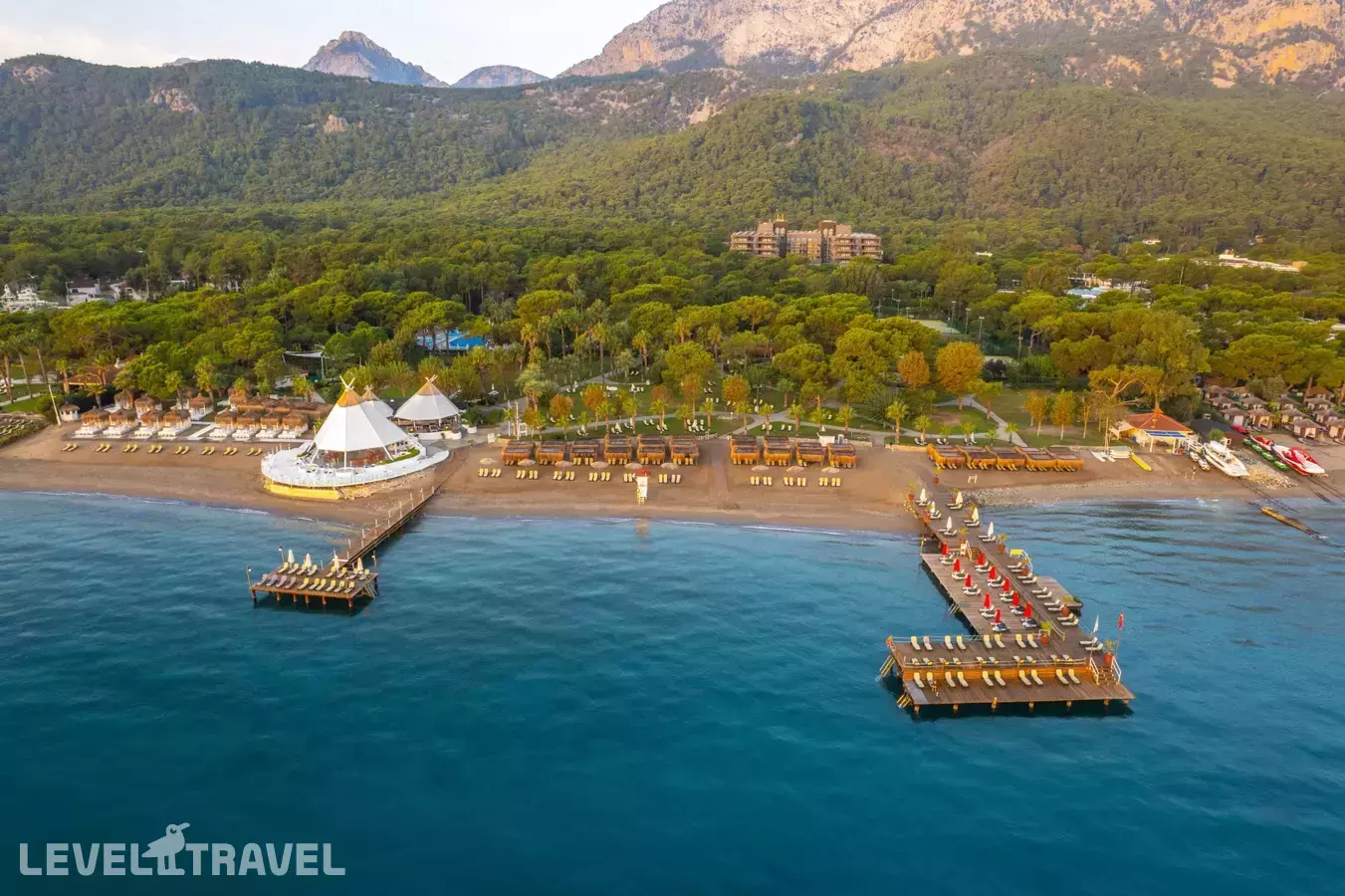 Balmy Foresta (Ex. Paloma Foresta)