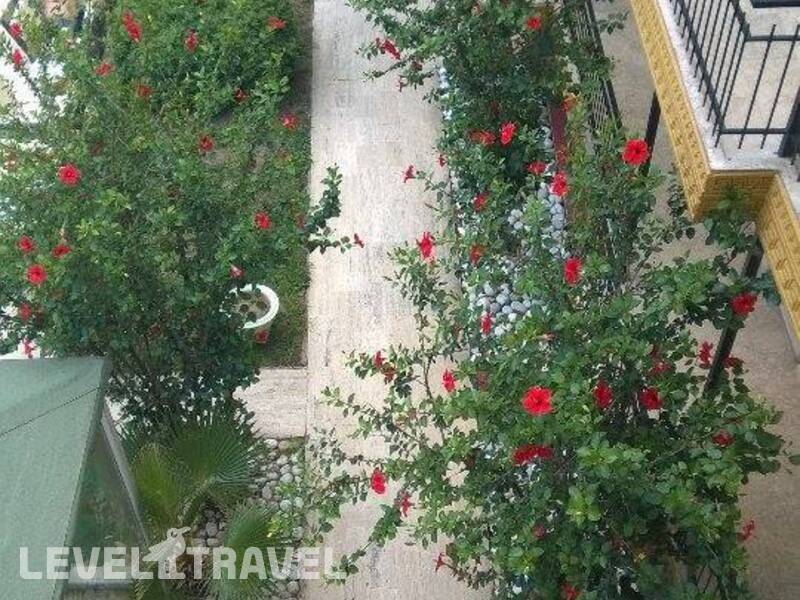 Фотография Iris Garden Hotel
