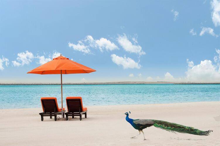 Ja Beach Hotel (Ex. Ja Jebel Ali Beach Hotel)