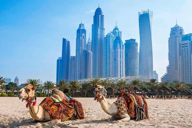 Habtoor Grand Resort & Spa Autograph Collection (Ex.Habtoor Grand Beach Resort & Spa)