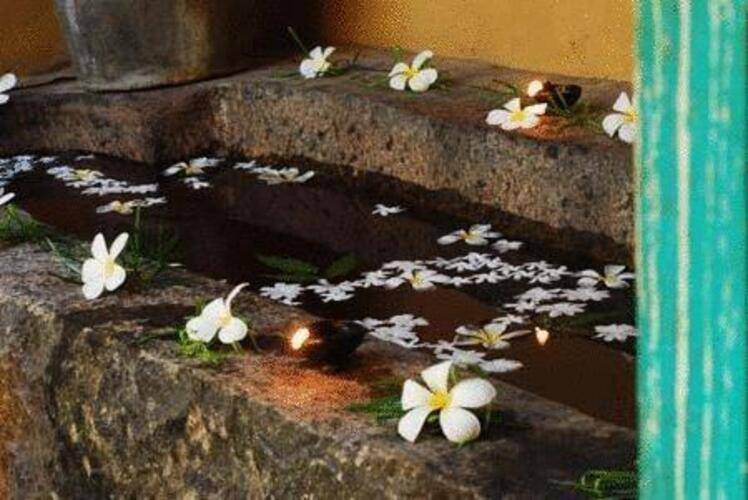 Jetwing Ayurveda Pavilions (Adults Only 12+)
