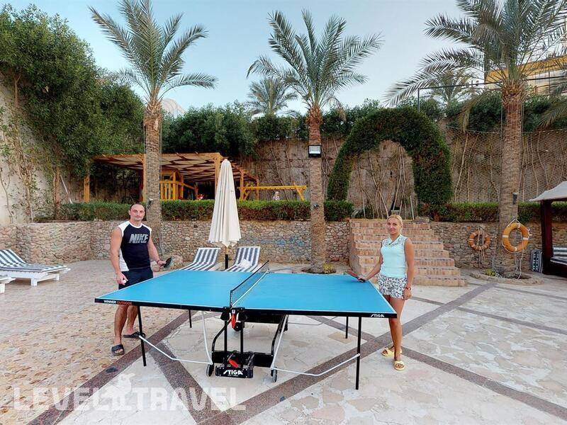 Фотография Falcon Naama Star