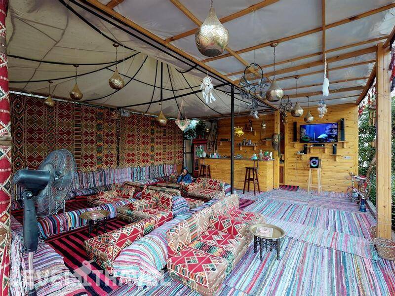 Фотография Falcon Naama Star