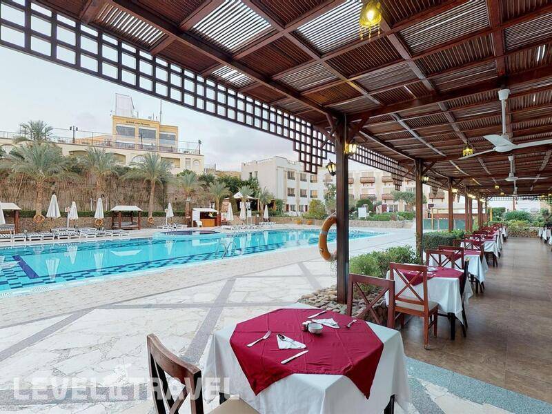 Фотография Falcon Naama Star