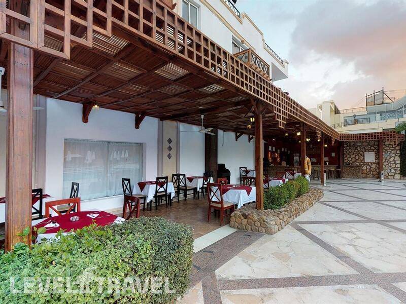 Фотография Falcon Naama Star