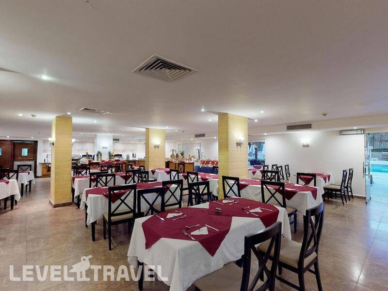 Фотография Falcon Naama Star