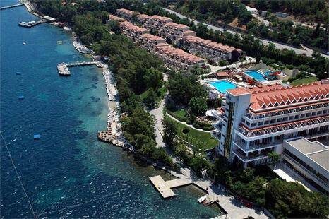 Превью видео