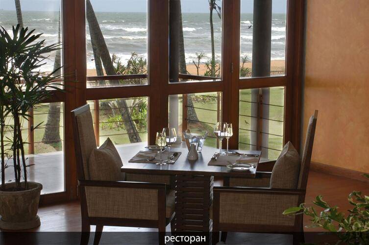 Serene Pavillions (Adults Only 12+)