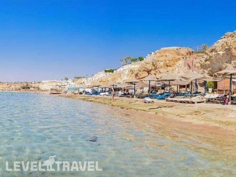 Фотография Dive Inn Resort