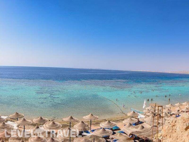 Фотография Dive Inn Resort