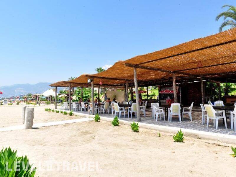 Фотография Oba Star Hotel
