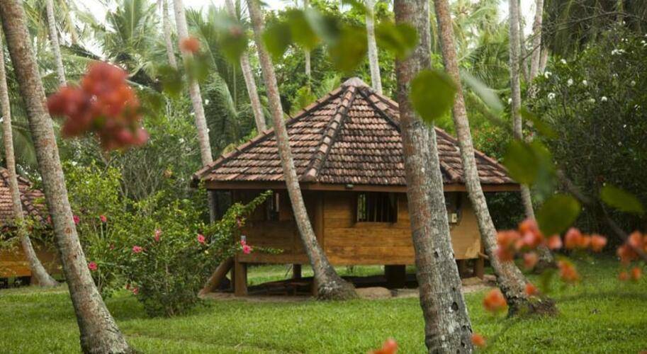 Palm Paradise Cabanas