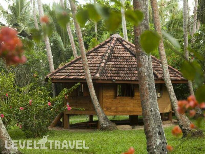 Фотография Palm Paradise Cabanas