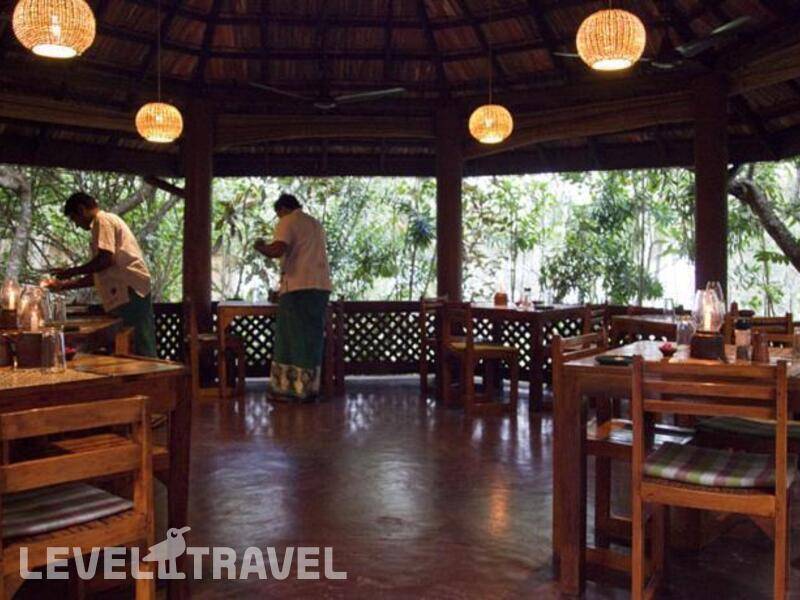 Фотография Palm Paradise Cabanas