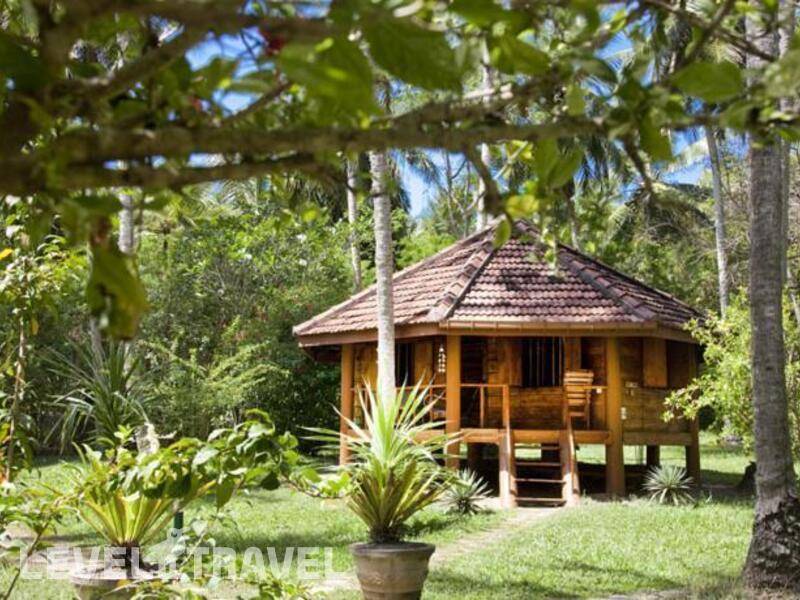 Фотография Palm Paradise Cabanas