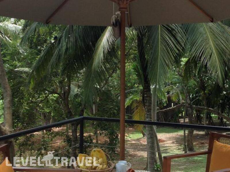 Фотография Palm Paradise Cabanas