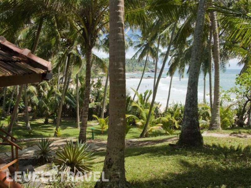 Фотография Palm Paradise Cabanas