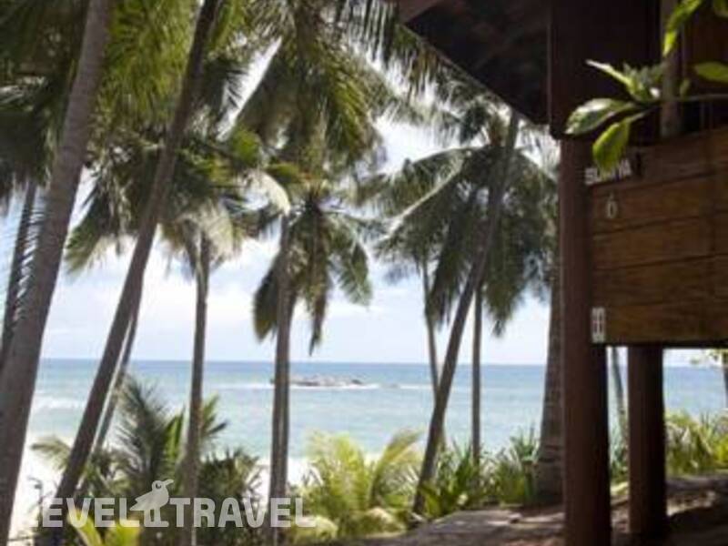 Фотография Palm Paradise Cabanas