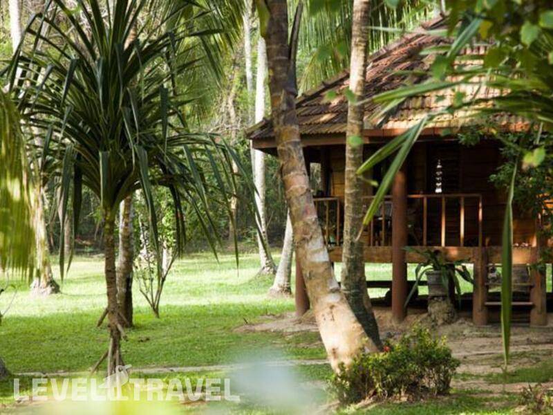 Фотография Palm Paradise Cabanas