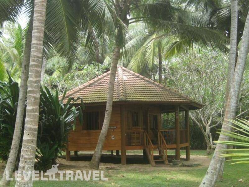 Фотография Palm Paradise Cabanas