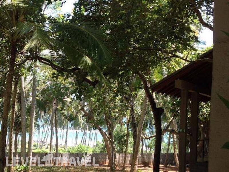 Фотография Palm Paradise Cabanas