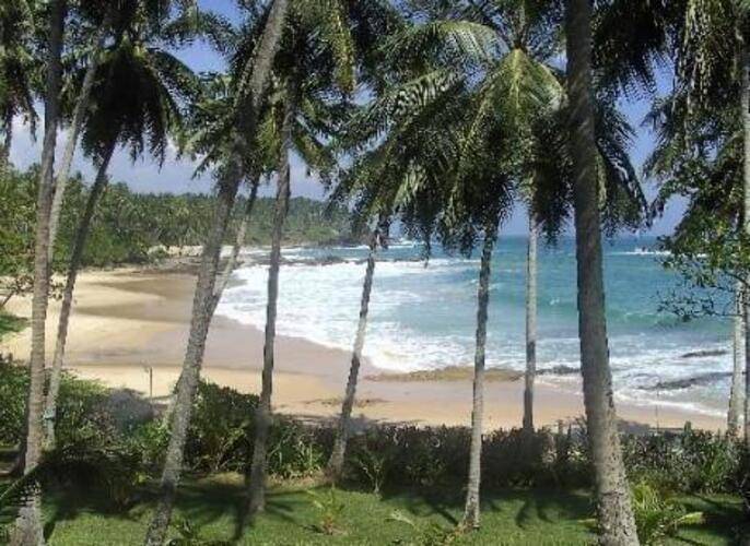Palm Paradise Cabanas