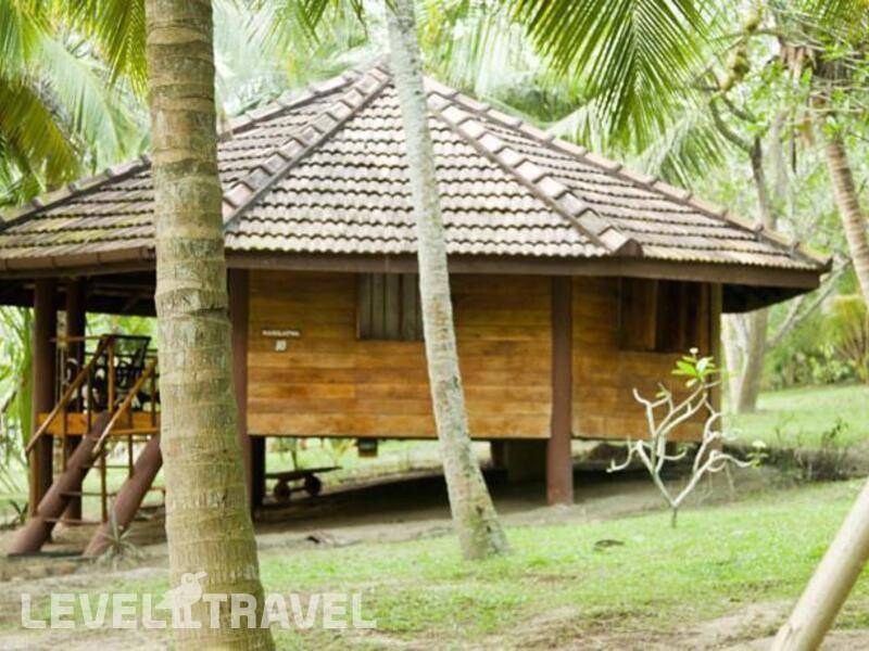 Фотография Palm Paradise Cabanas