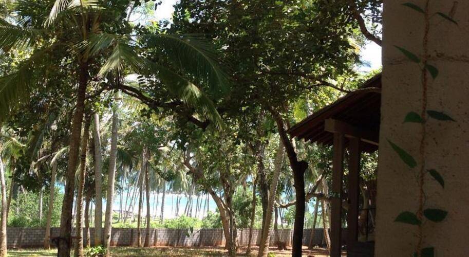 Palm Paradise Cabanas