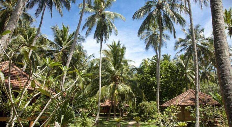 Palm Paradise Cabanas