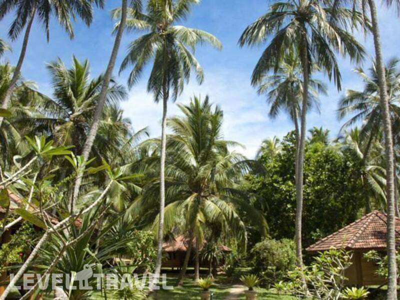 Фотография Palm Paradise Cabanas