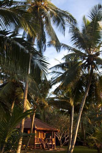 Palm Paradise Cabanas