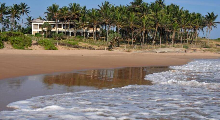 Turtle Bay