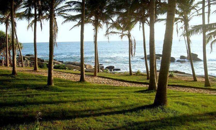 Turtle Bay