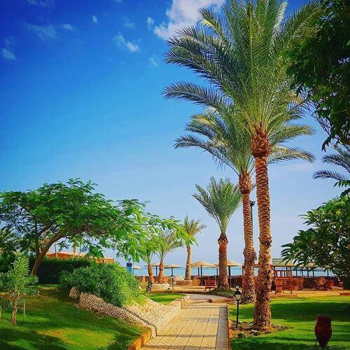 Golden Beach Resort (Ex. Movie Gate Hurghada)