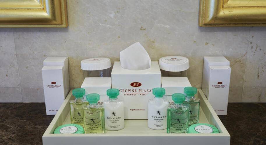 Crowne Plaza Istanbul Asia Hotel