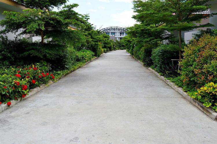 The Natural Resort