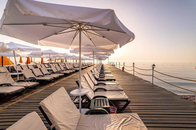Gypsophila Club Marine