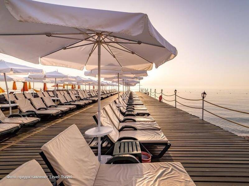 Фотография Gypsophila Club Marine Фотография Gypsophila Club Marine