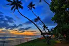 Lanka Super Corals