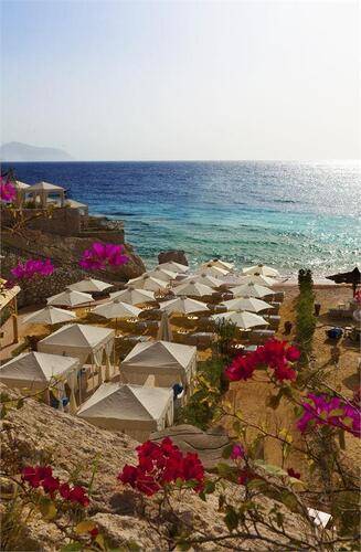 Royal Savoy Sharm El Sheikh (Adults Only 12+)