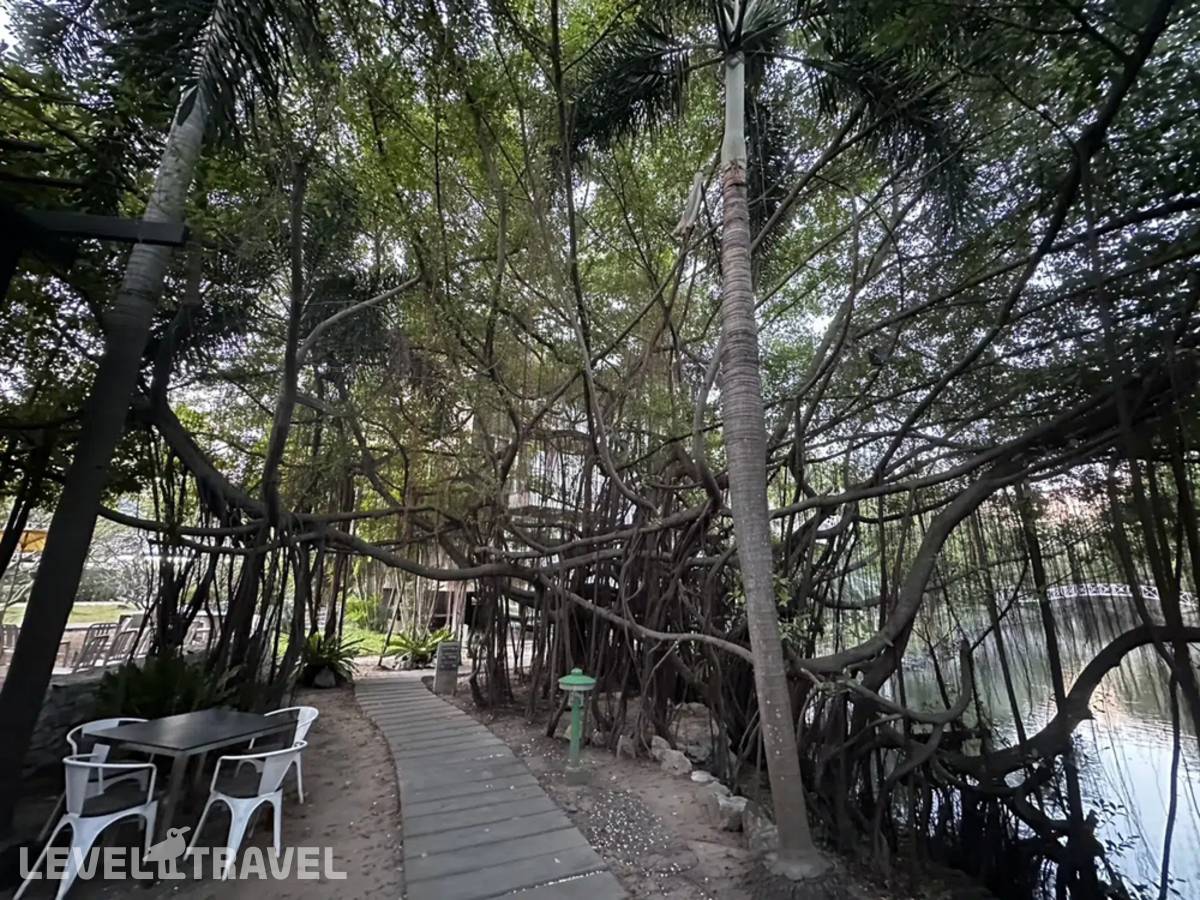 фотографии отеля The Leela Resort & Spa (Ex. Leelawadee Lagoon) в Таиланд(Центральная Паттайя) - фото №24