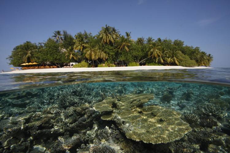 Ayada Maldives