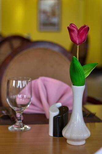 Royal Tulip Hotel Sharjah