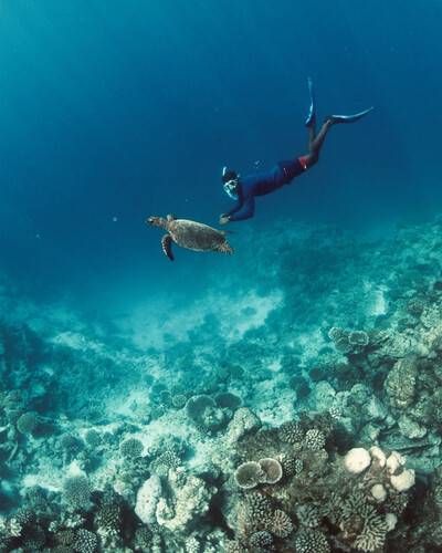 Niyama Private Islands Maldives (Ex.Per Aquum)